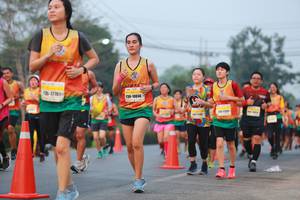 BIB: 17761, 10866
                            <button type="button" onclick="openModal(10053130)" class="btn btn-primary btn-sm float-right btn-popup" data-toggle="modal" data-target=".modal-high-quality">
                        <i class="fas fa-shopping-cart"></i> Add to Cart
                    </button>
                                            <button type="button" onclick="isThisMe(10053130, true)" class="btn btn-success btn-sm float-right btn-popup btn-isme hidden" data-toggle="tooltip" data-placement="bottom" title="นี่คือรูปของคุณใช่ไหม คลิกที่นี่เพื่อเอาเข้าอัลบั้ม">
                        <i class="fas fa-plus"></i> Add to album
                    </button>
                    <button type="button" onclick="isThisMe(10053130, false)" class="btn btn-warning btn-sm float-right btn-popup btn-isnotme hidden">
                        <i class="fas fa-ban"></i> Remove from album
                    </button>